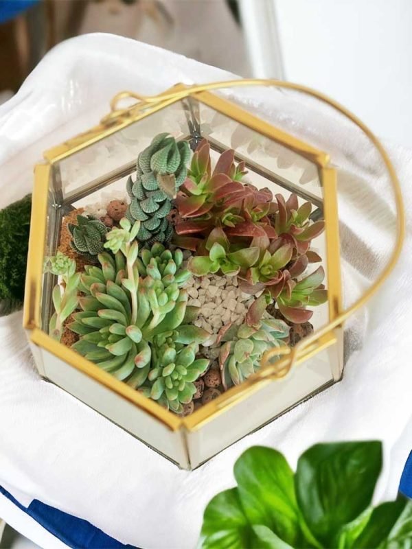 Lantern Glass Terrarium (Large)