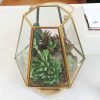 Lantern Glass Terrarium (Large)
