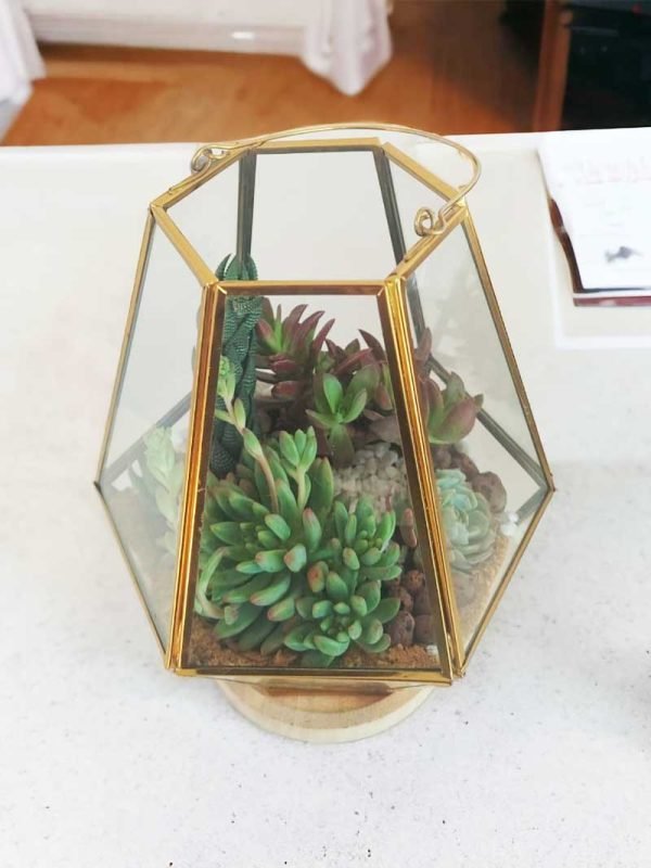 Lantern Glass Terrarium (Large)