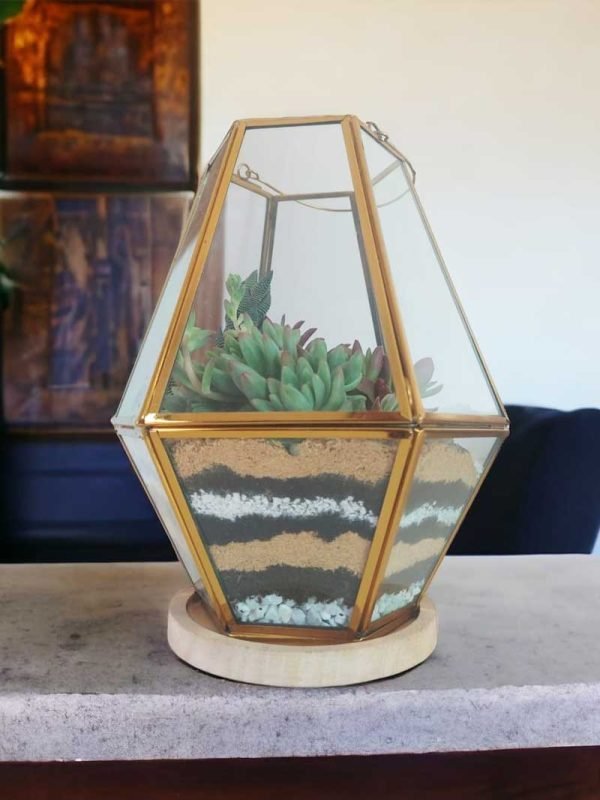Hanging chandelier glass terrarium with live plants by Wild Roots Gifting – elegant indoor hanging planter for Delhi NCR and Dehradun homes and offices