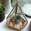 Prism glass terrarium with live plants by Wild Roots Gifting – geometric indoor planter for homes and offices in Delhi NCR and Dehradun