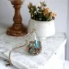 Waterdrop Hanging Terrarium