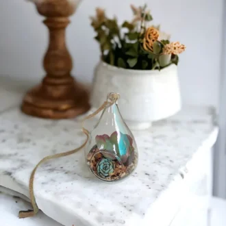 Waterdrop Hanging Terrarium