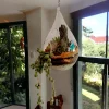 Waterdrop-shaped hanging terrarium with air plants by Wild Roots Gifting – elegant glass planter for indoor decor in Delhi NCR and Dehradun