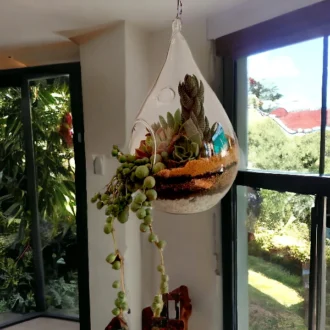 Waterdrop-shaped hanging terrarium with air plants by Wild Roots Gifting – elegant glass planter for indoor decor in Delhi NCR and Dehradun