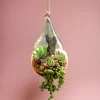 Waterdrop Hanging Terrarium