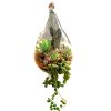 Waterdrop Hanging Terrarium