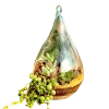 Waterdrop Hanging Terrarium