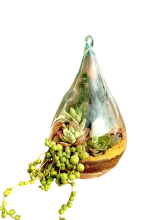 Waterdrop Hanging Terrarium