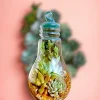 Bulb-shaped hanging glass terrarium with live succulents by Wild Roots Gifting – modern eco-friendly indoor decor in Delhi NCR and Dehradun