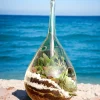 Slender neck hanging terrarium with air plants by Wildroots