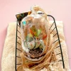 Capsule shaped terrarium by wild roots