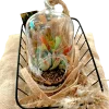 Capsule shaped terrarium by wild roots