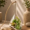 Premium hanging succulent terrarium planter made from borosilicate glass with real succulents, styled as elegant indoor hanging and desktop décor for home, office, and gifting.