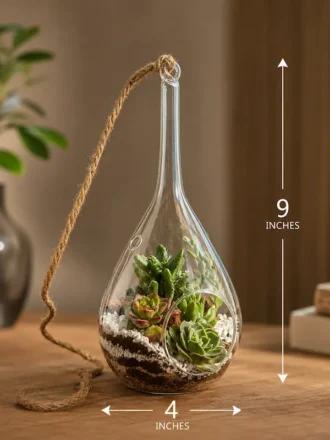 Premium hanging succulent terrarium planter made from borosilicate glass with real succulents, styled as elegant indoor hanging and desktop décor for home, office, and gifting.