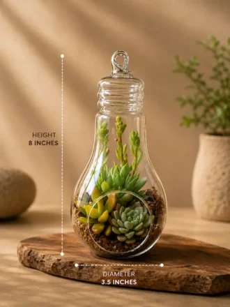 Premium bulb-shaped borosilicate glass terrarium planter with layered succulent arrangement, suitable for hanging décor and desktop styling in modern homes and offices.