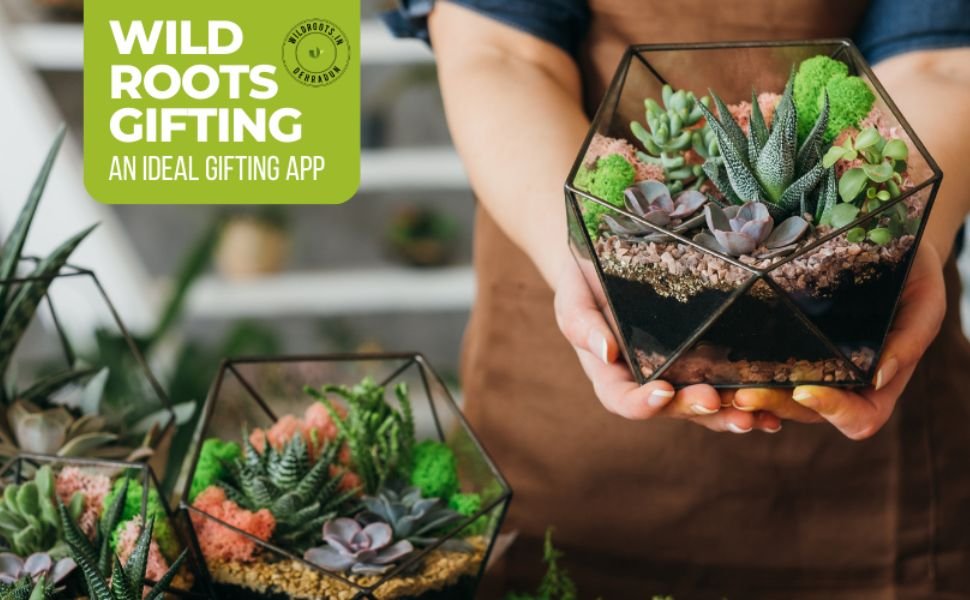 Online plant based gift delivery in Dehradun Online plant based gift delivery in Dehradun