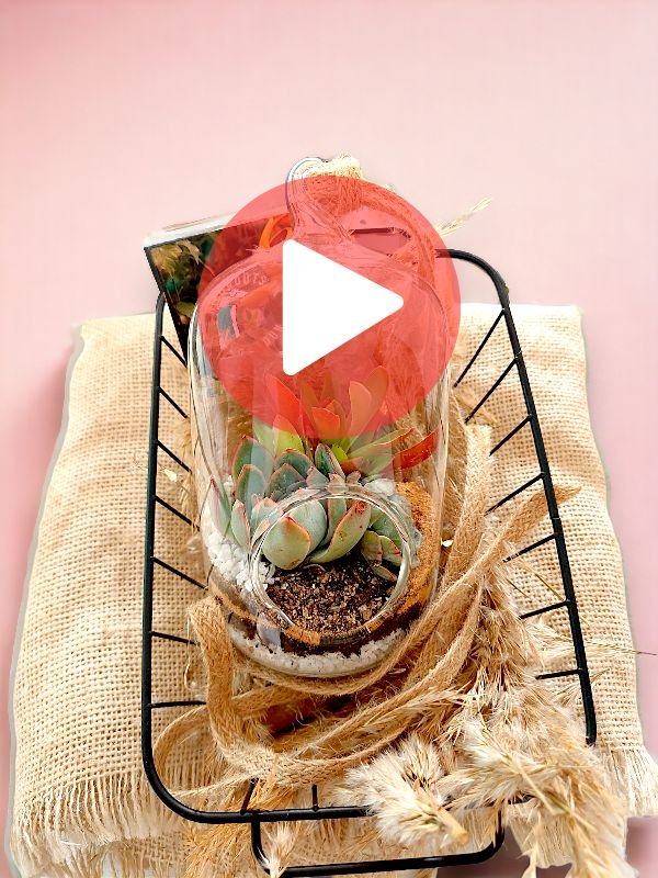 Capsule shaped terrarium by wild roots