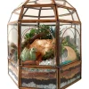Geometric dome glass house terrarium with live plants by Wildroots – modern indoor garden décor