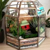 Geometric dome glass house terrarium with live plants by Wildroots – modern indoor garden décor