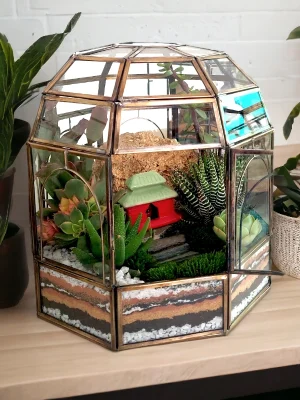 Geometric dome glass house terrarium with live plants by Wildroots – modern indoor garden décor