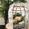 Geometric dome glass house terrarium with live plants by Wildroots – modern indoor garden décor