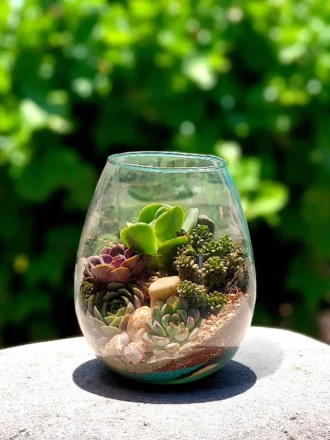 Glass bowl terrarium with succulents and pebbles – elegant indoor plant décor by wild roots