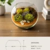 8 inch glass fish bowl terrarium with green succulents, decorative sand layers, and modern indoor tabletop décor arrangement.