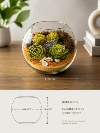 8 inch glass fish bowl terrarium with green succulents, decorative sand layers, and modern indoor tabletop décor arrangement.