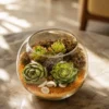 8 inch glass fish bowl terrarium with green succulents, decorative sand layers, and modern indoor tabletop décor arrangement.