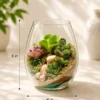 Oval glass desktop terrarium with succulent plants in a decorative 8-inch tall and 6-inch diameter glass bowl for modern indoor décor.