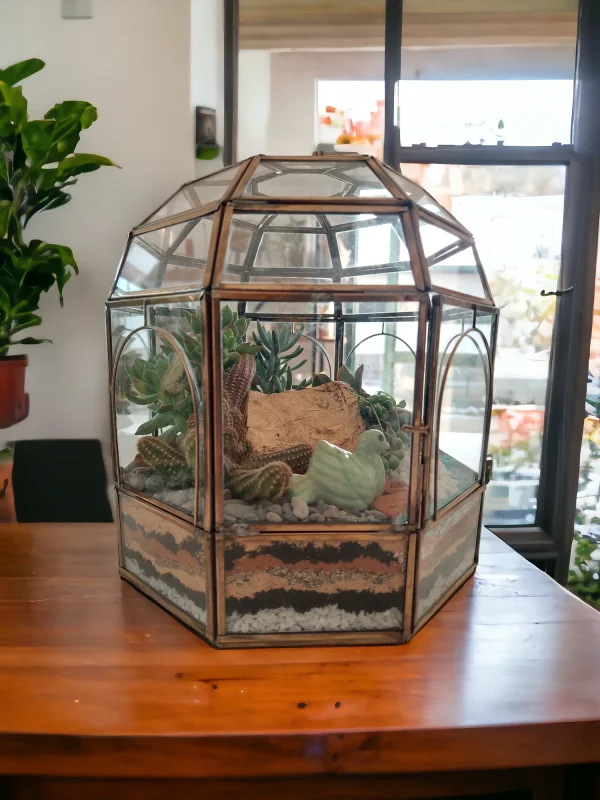 Geometric dome glass house terrarium with live plants by Wildroots – modern indoor garden décor