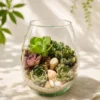 Oval glass desktop terrarium with succulent plants in a decorative 8-inch tall and 6-inch diameter glass bowl for modern indoor décor.