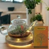 Vintage tea kettle terrarium with lush green plants from Wildroots