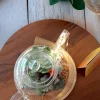 Vintage tea kettle terrarium with lush green plants from Wildroots