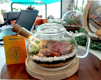 Upcycled coffee kettle terrarium with green plants by Wildroots