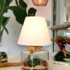 Volcano Jar Lamp Terrarium with LED light and layered greenery by Wildroots