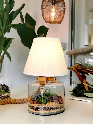 Volcano Jar Lamp Terrarium with LED light and layered greenery by Wildroots