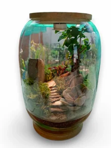 Bell Jar Bonsai Terrarium from Wildroots with a miniature bonsai tree inside a clear glass dome for stylish indoor plant decor.
