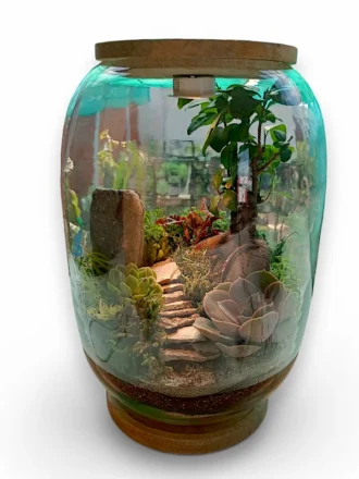 Bell Jar Bonsai Terrarium from Wildroots with a miniature bonsai tree inside a clear glass dome for stylish indoor plant decor.