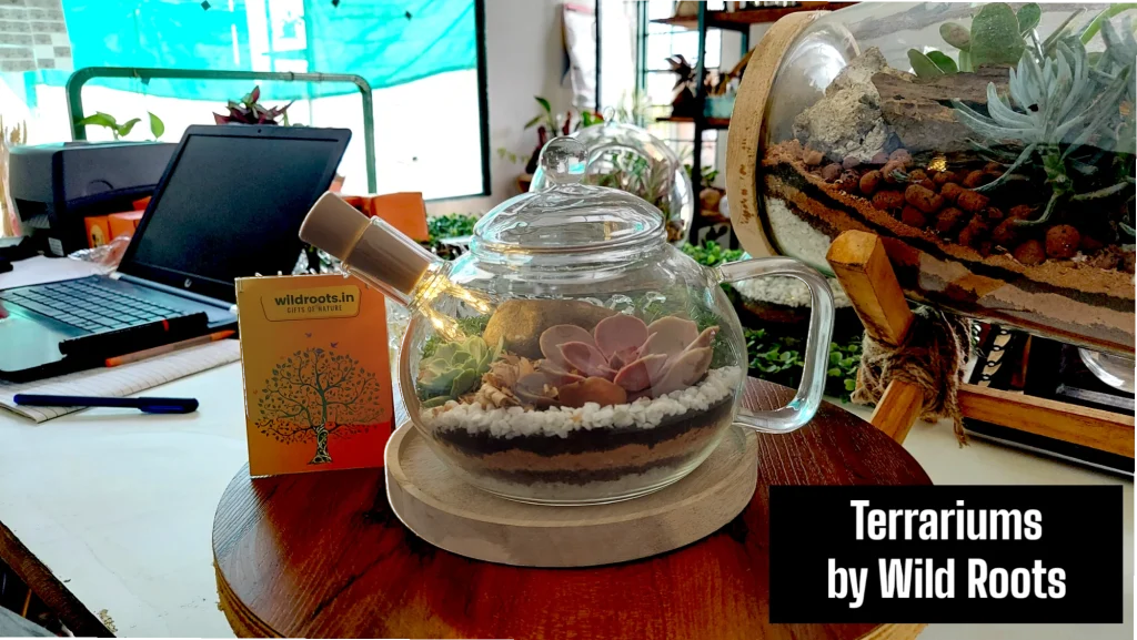 Upcycled coffee kettle terrarium with green plants by Wildroots