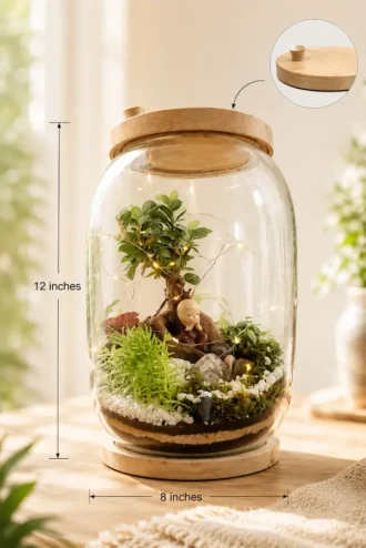 Premium Bell Jar Terrarium by Wild Roots Gifting with Ficus Bonsai inside a glass dome featuring wooden top and base for indoor home décor and gifting.