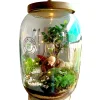 Bell Jar Bonsai Terrarium by wild roots for gifting and home decor