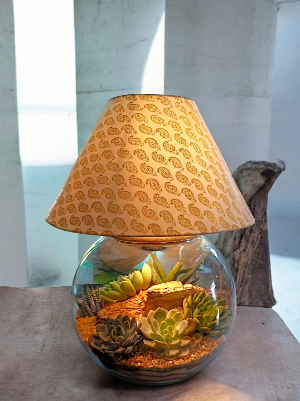 Round Bowl Lamp Terrarium with LED light and greenery by Wildroots