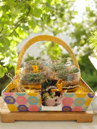 Buy Set of 4 Terrarium Gift Basket- gifting from gifting.wildroots.in