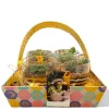 Buy Set of 4 Terrarium Gift Basket- gifting from gifting.wildroots.in