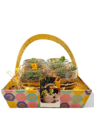 Buy Set of 4 Terrarium Gift Basket- gifting from gifting.wildroots.in