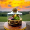 Volcano jar terrarium with lush green plants by Wildroots