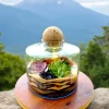 Volcano jar terrarium with lush green plants by Wildroots