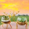 Buy Set of 2 Enchanting Golden Reindeer Desktop planter for Gifting from gifting.wildroots.in